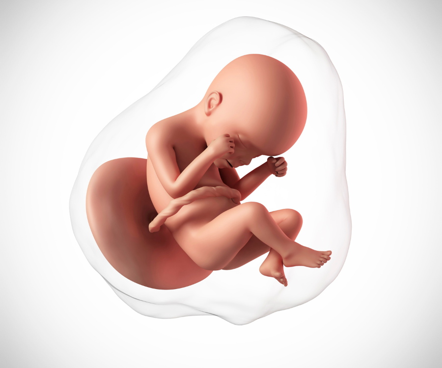 Understanding Fetal Movements